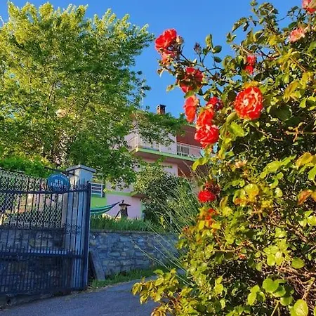 Fiori F - Monolocale *