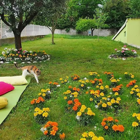 Fiori F - Monolocale * Almese