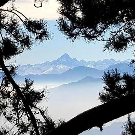 Fiori E Frutti * Almese