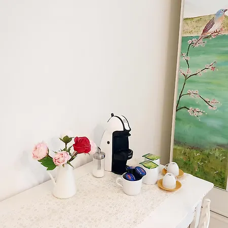 Fiori F - Monolocale