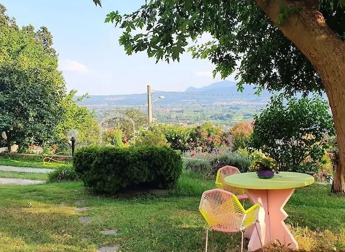 Fiori F - Monolocale