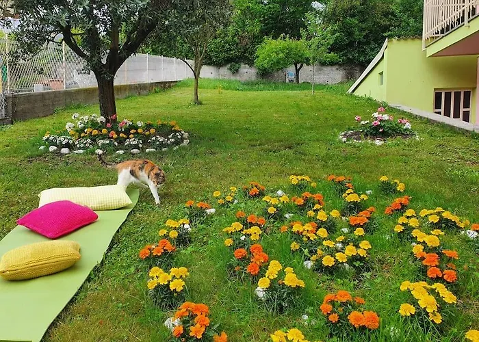 Fiori F - Monolocale * Almese